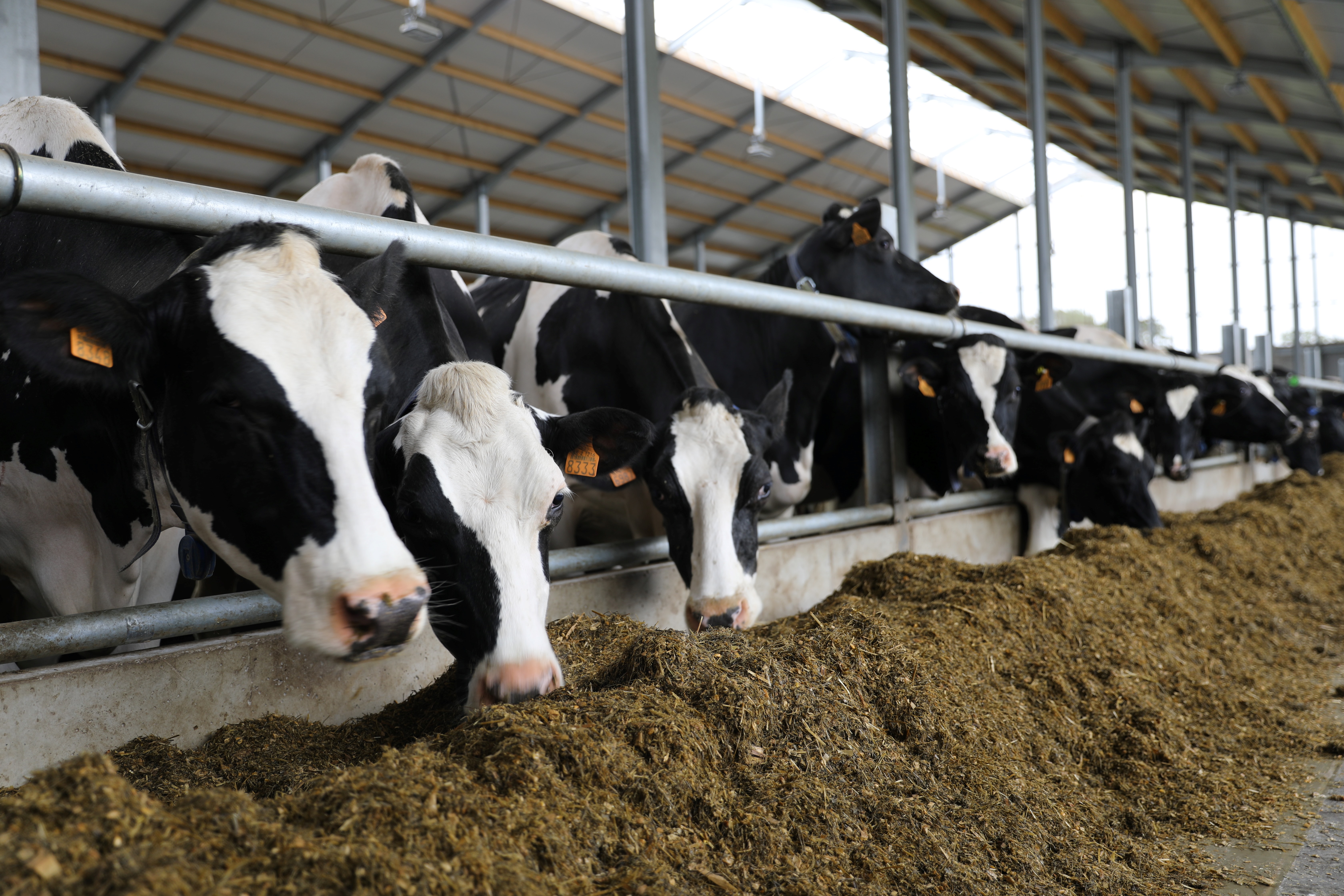 21.03.2025_AN_Nieuwsbrief_Voedermanagement Methaanreductie 