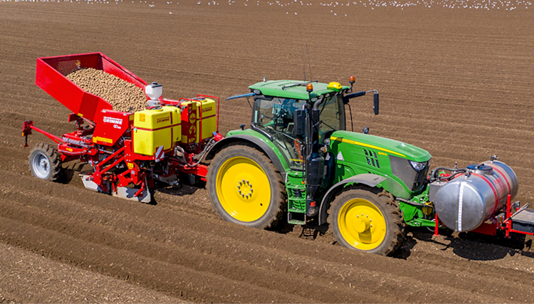 Semances de pommes de terre