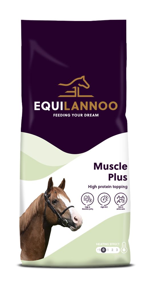 Muscle Plus packshot