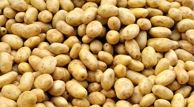 Aardappelen 968x536pxq