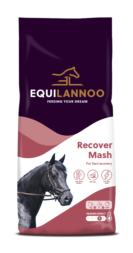 Recover Mash packshot