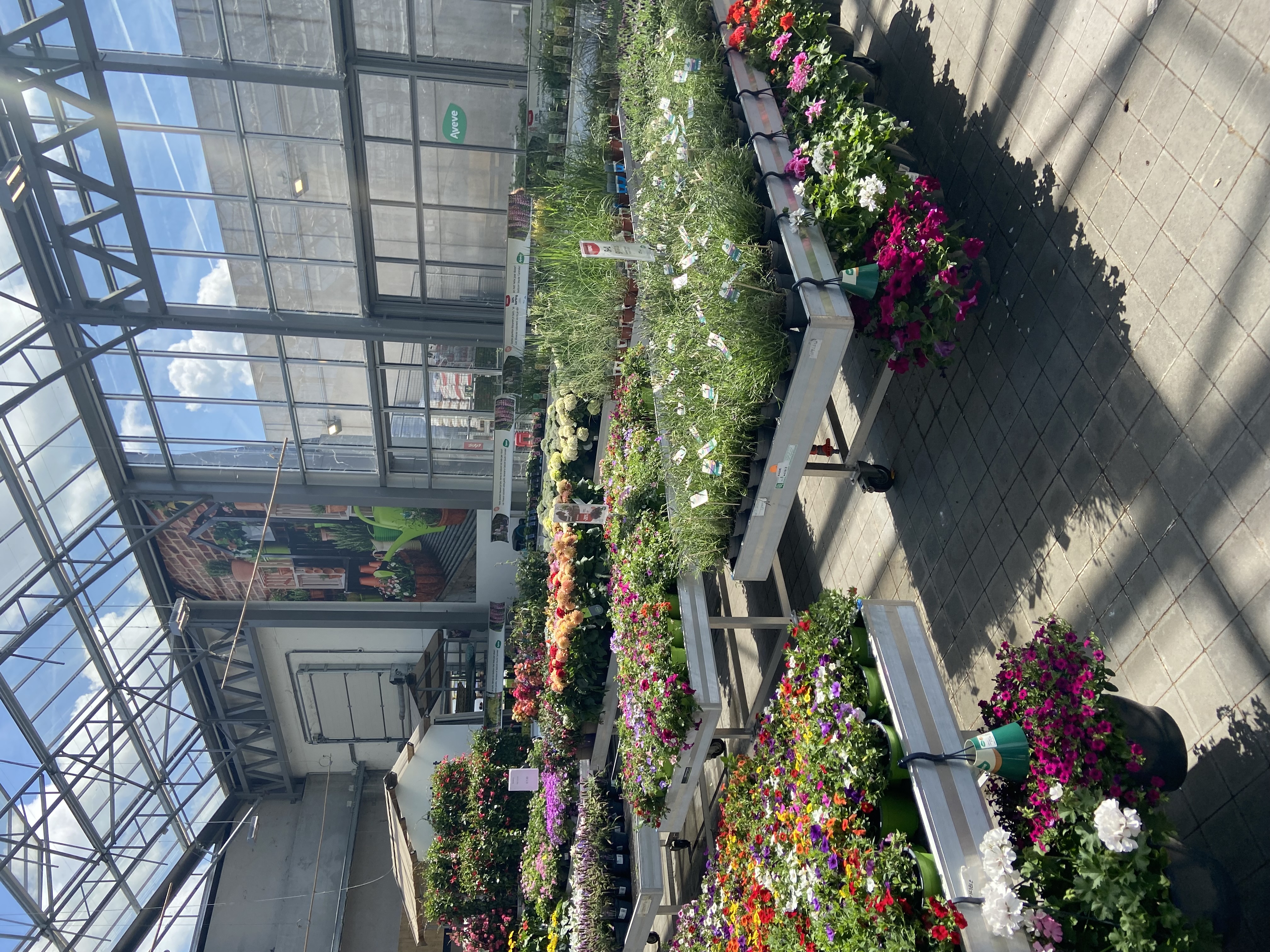 Aveve_winkel_Wilsele_interior1