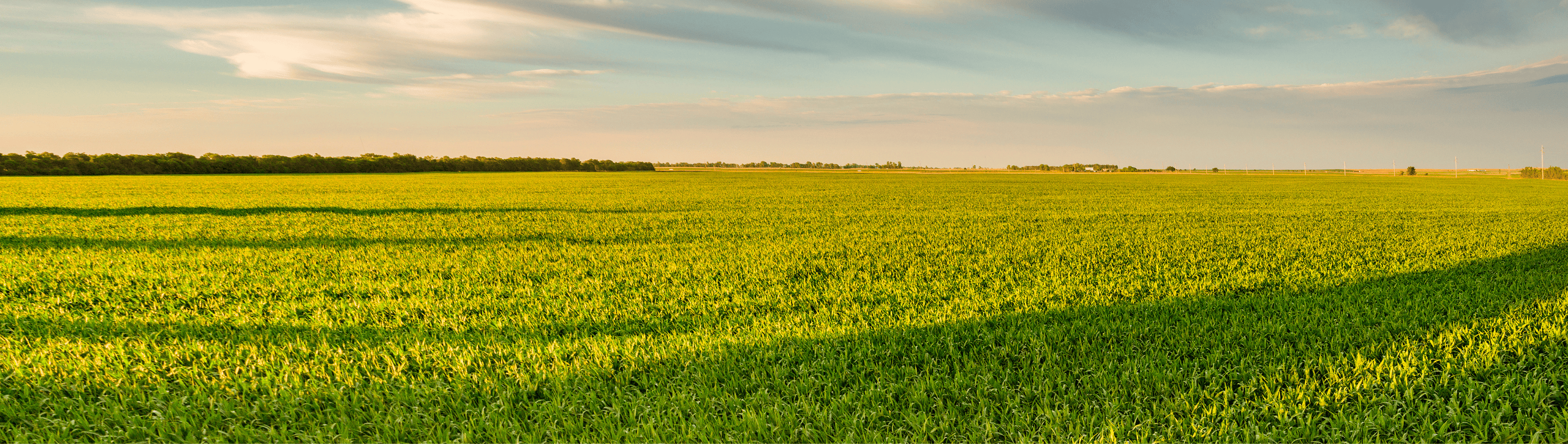 Outils d'aide à la décision