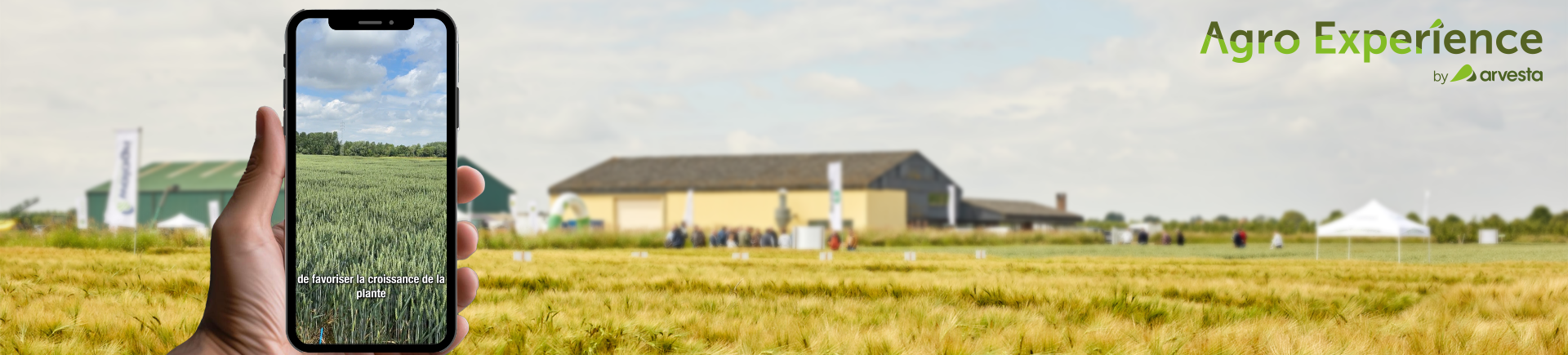 Banner Alain Albos - le dépôt de Quenast