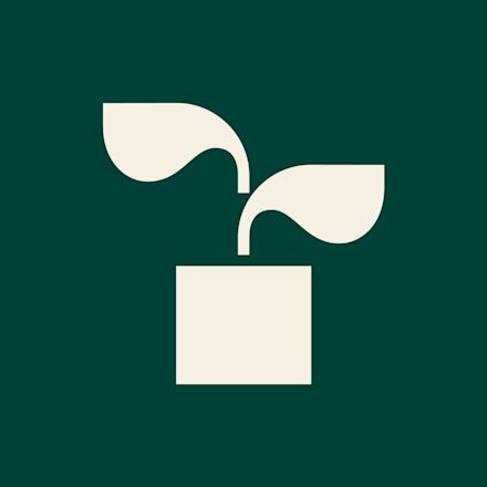 Hortensia - 2 voor €20