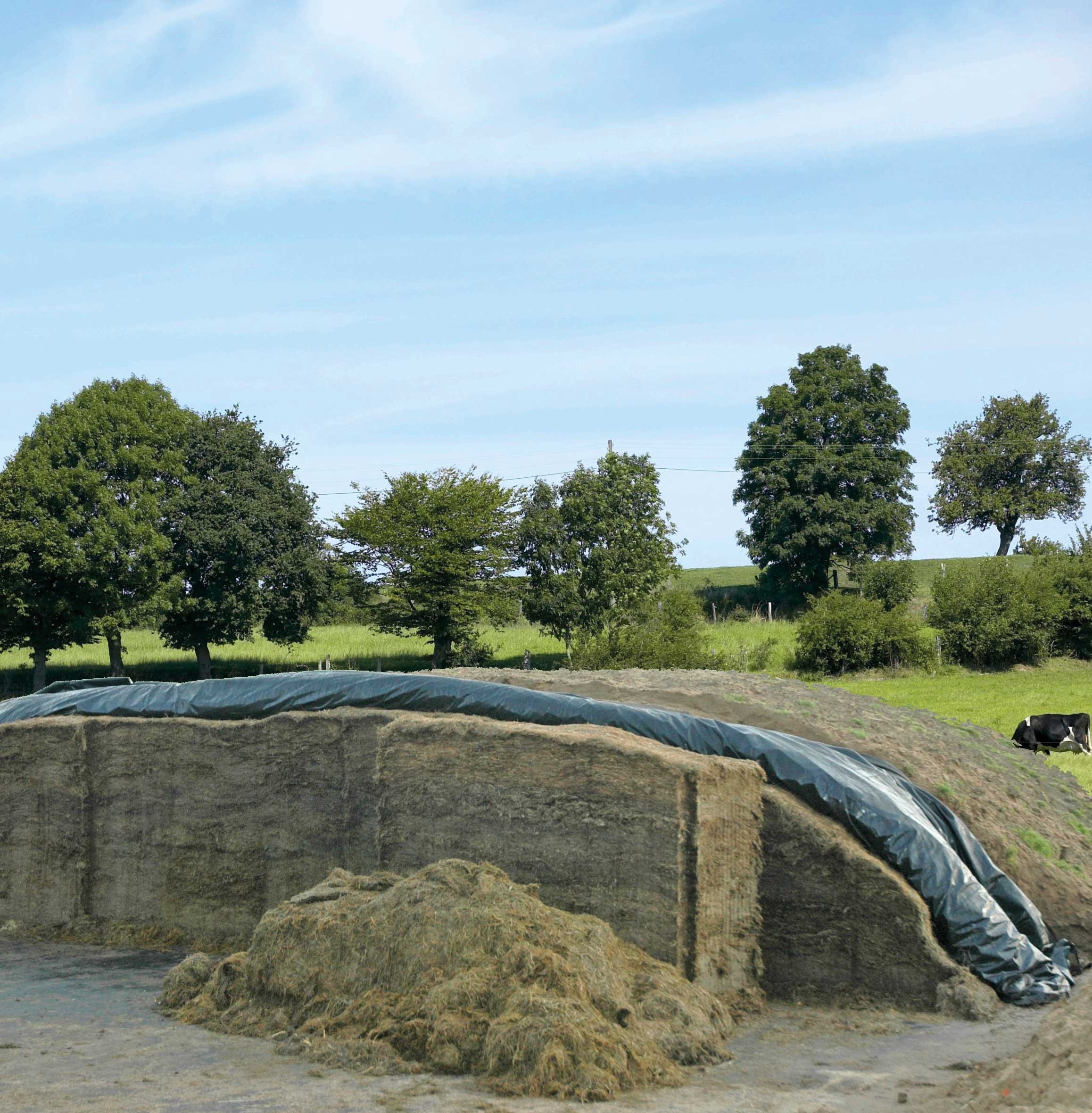 21.03.2025_AN_Nieuwsbrief_Inkuilen 