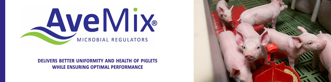AveMix® MC12 – The solution to boost weaning piglet health and performance
