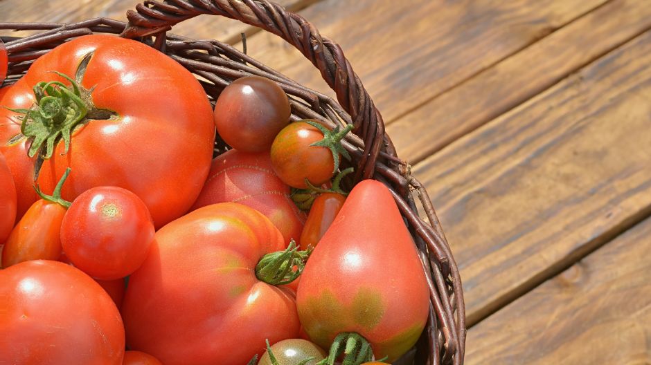 Image de tomates cueillies sur une table en bois - Aveve