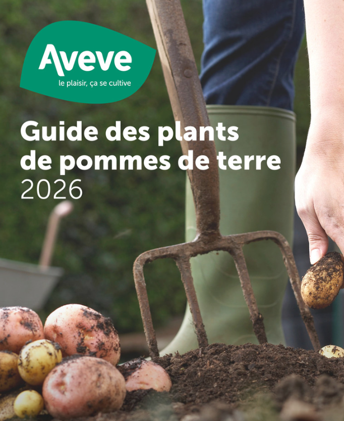 Guide des plants de pommes de terre 2026 - Aveve