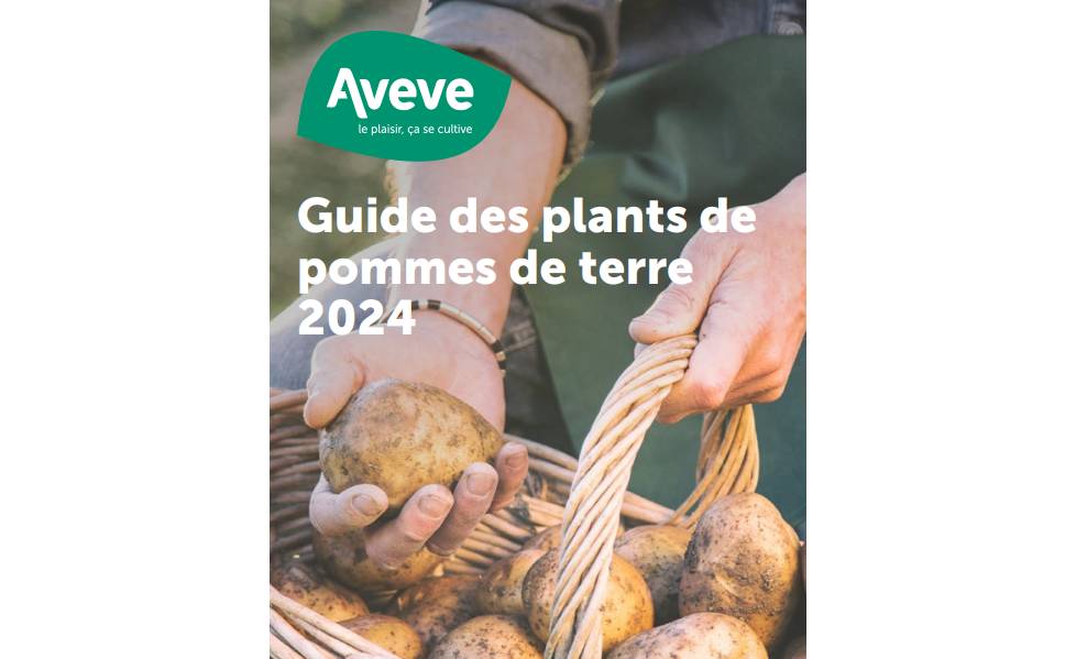 Guide des plants de pommes de terre 2024 - Aveve