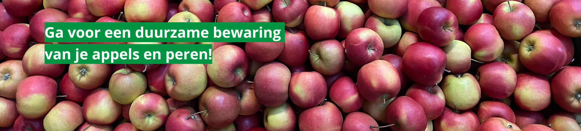 Testimonial SmartFresh 2025