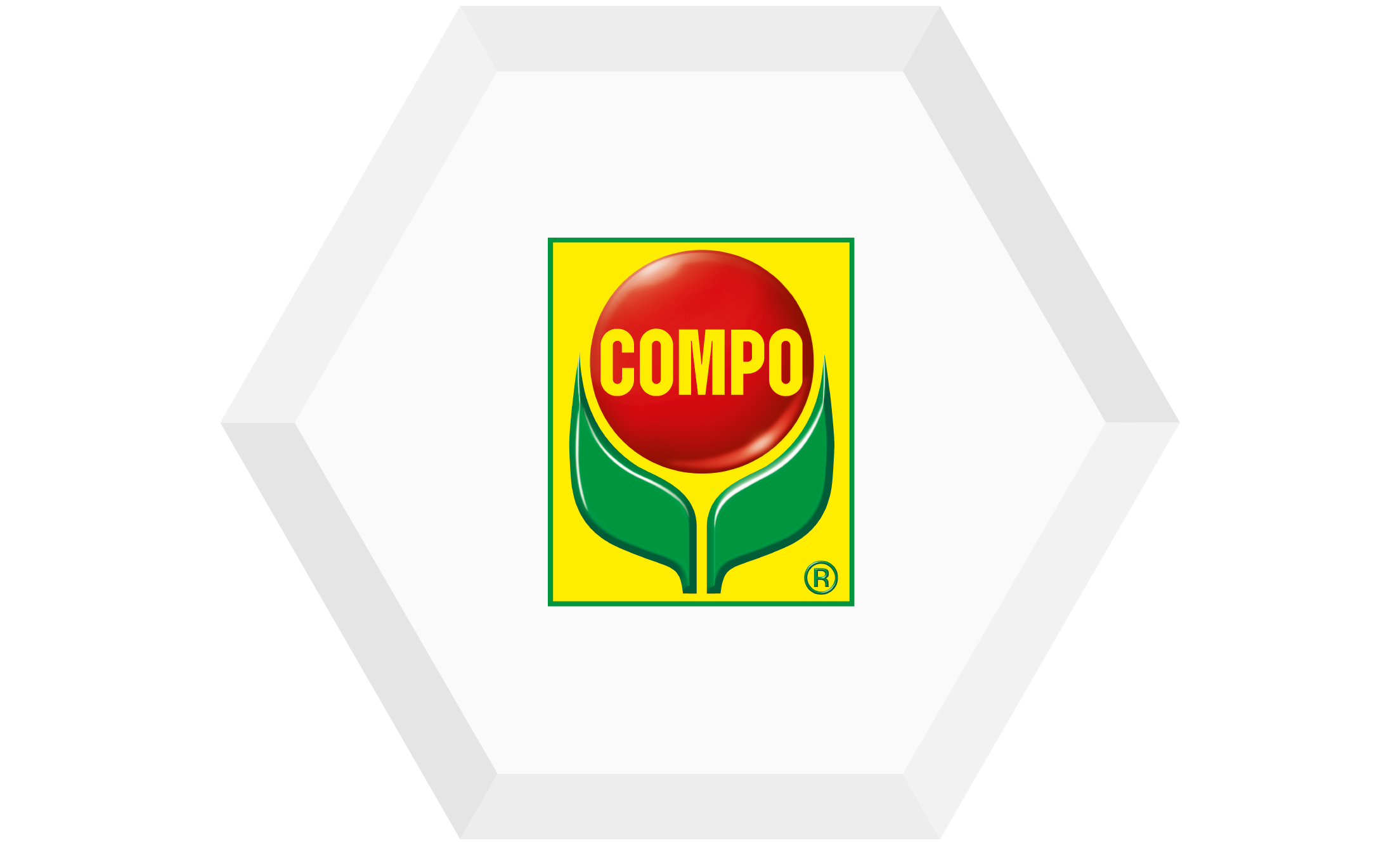 Compo