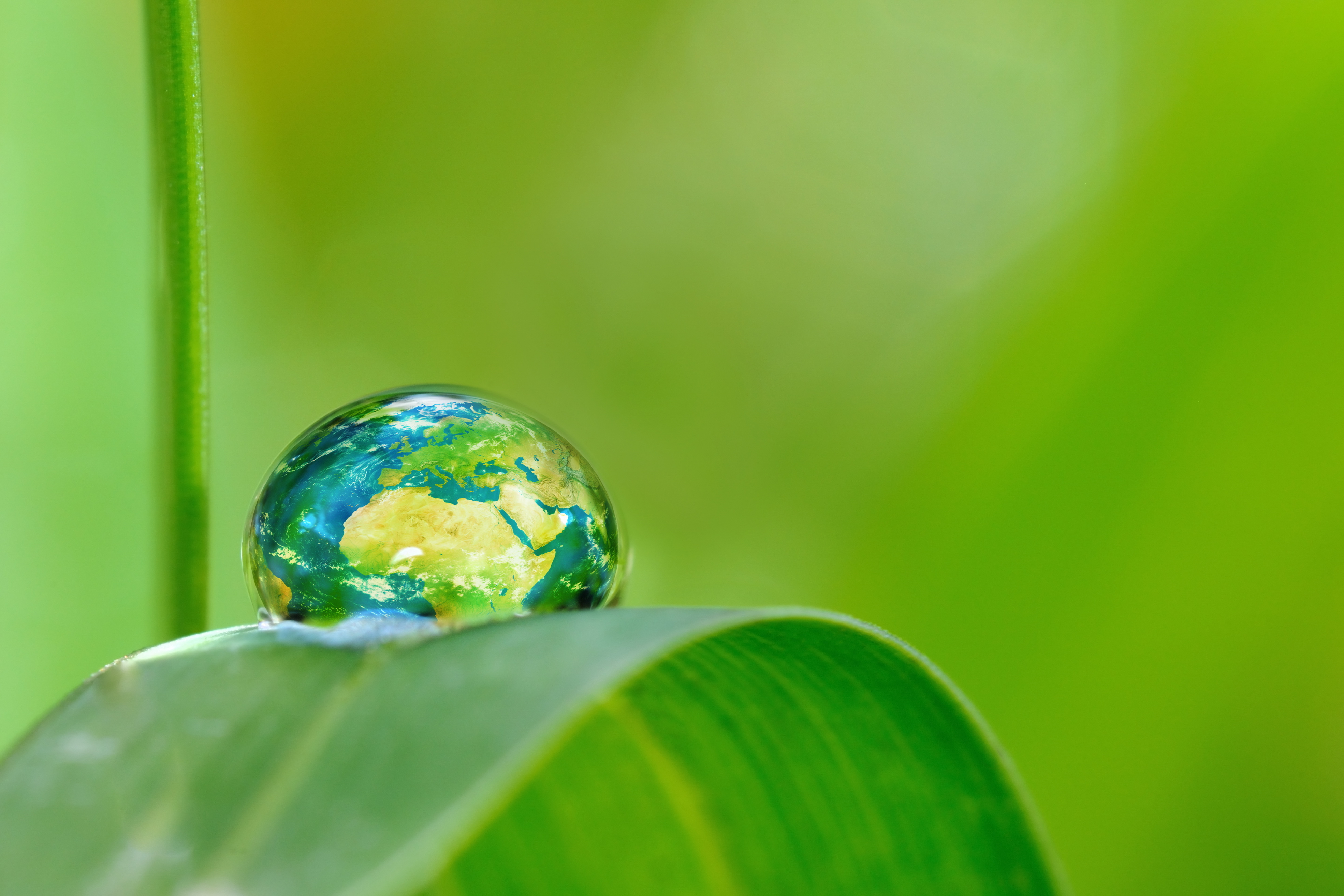 Duurzaamheid + HoFi logo