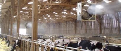 30.05.2025_Nieuwsbrief_AN_Stress thermique1