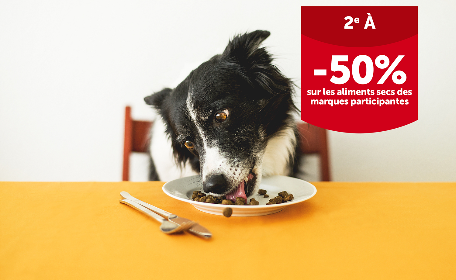 Festival des croquettes pour chien du 23 avril jusqu’au 4 mai inclus