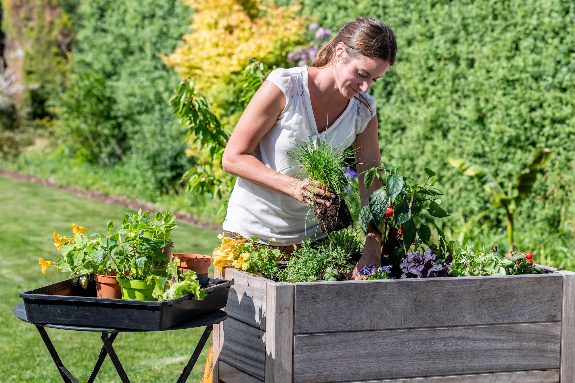 moestuin van Sofie 1