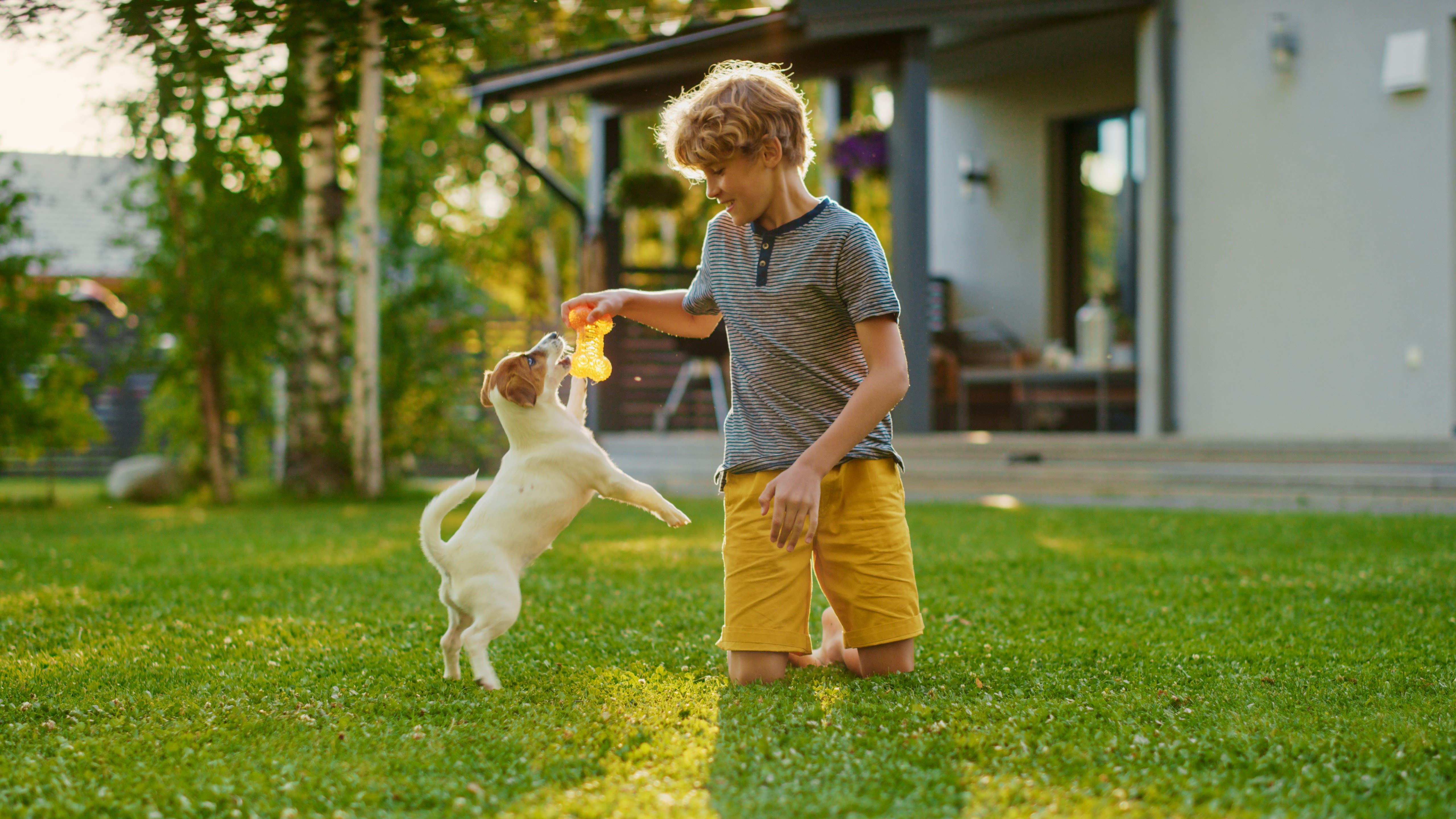 Kind en hond spelen op frisgroen gazon - Aveve