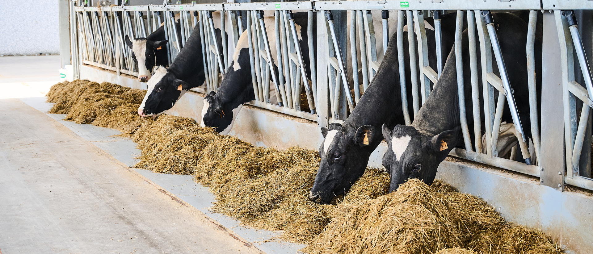 Transitie & droogstand banner 1920x823px