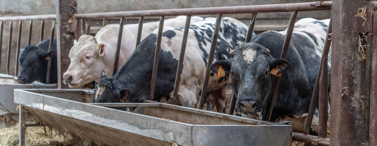 ProFinish Hero Banner