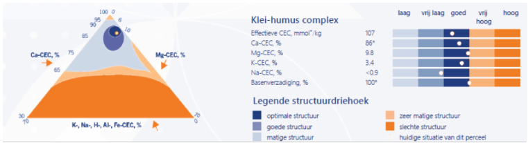 Bereid je grond gericht voor, zo teelt je gezond én rendabeler. 
