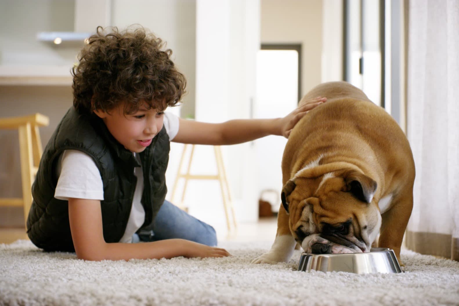 Chien qui savoure ce qu’il y a dans sa gamelle – Aveve