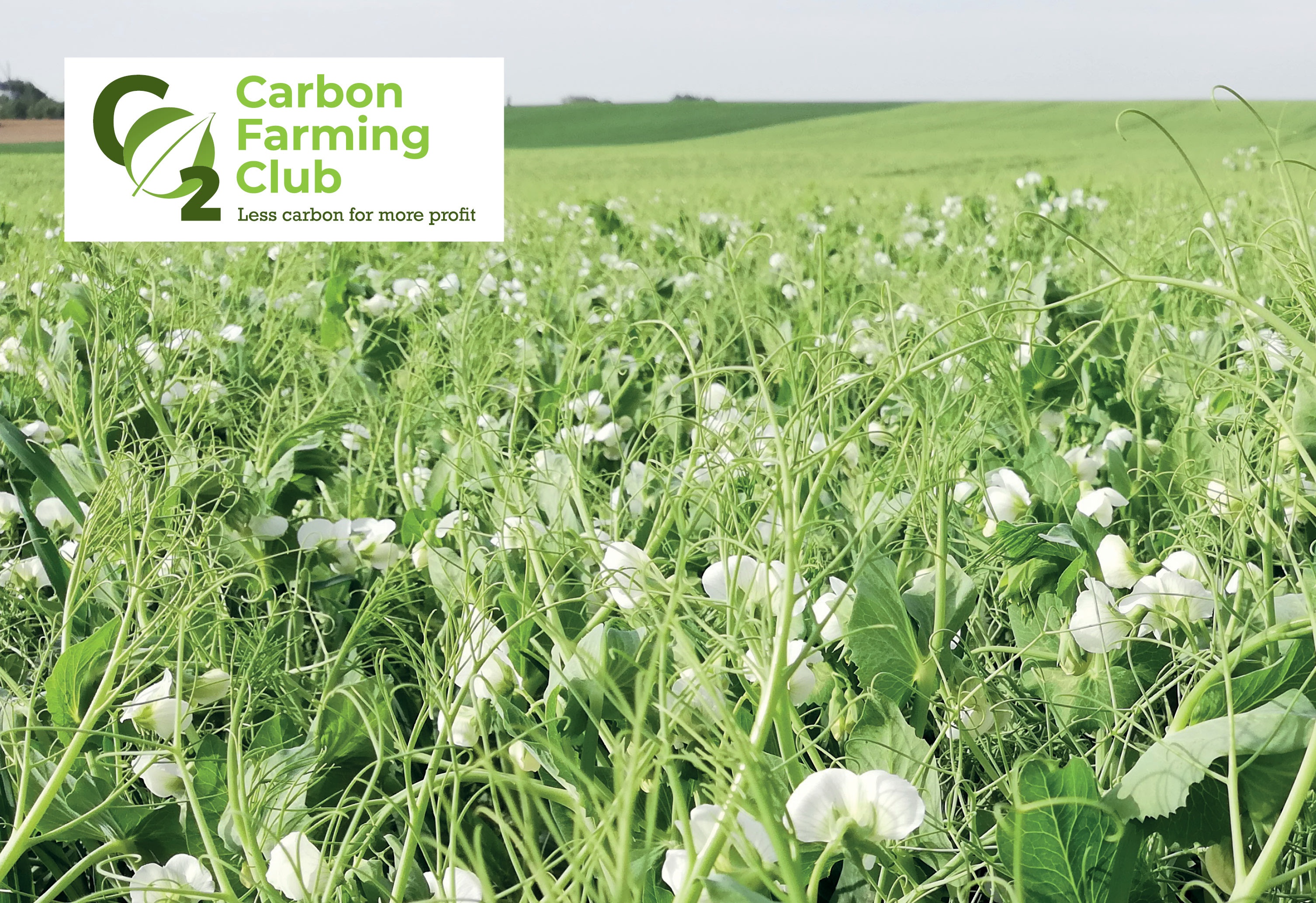 Carbon Farming Club