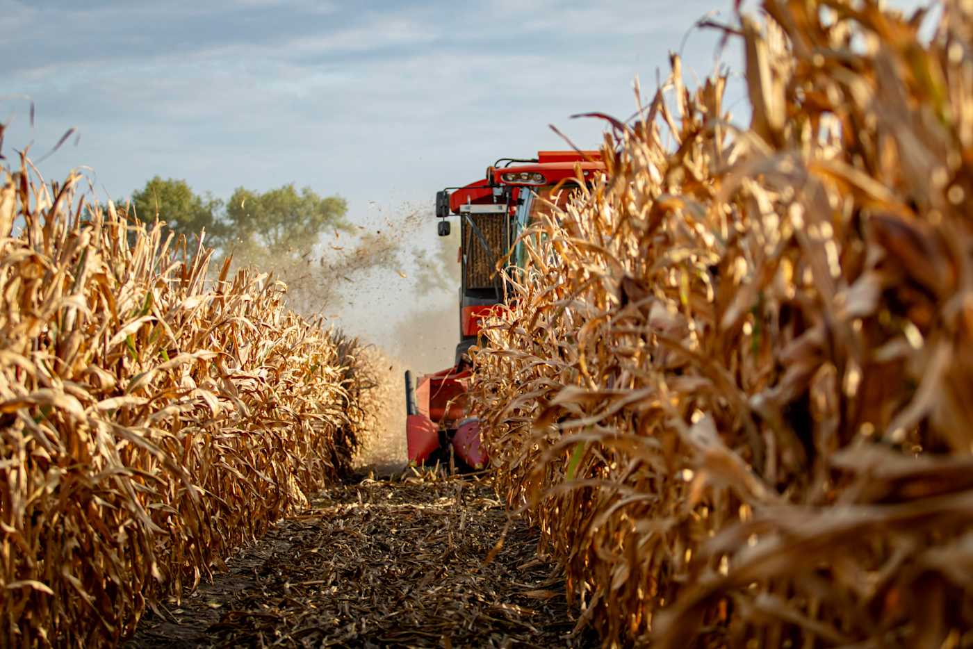 01.10.2025_Nieuwsbrief_AN_CCM