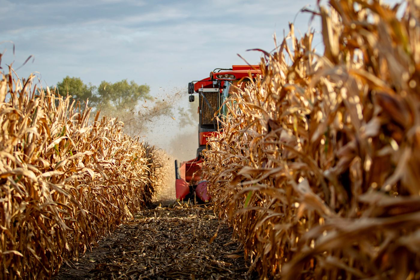 01.10.2025_Nieuwsbrief_AN_CCM