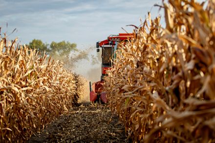 01.10.2025_Nieuwsbrief_AN_CCM