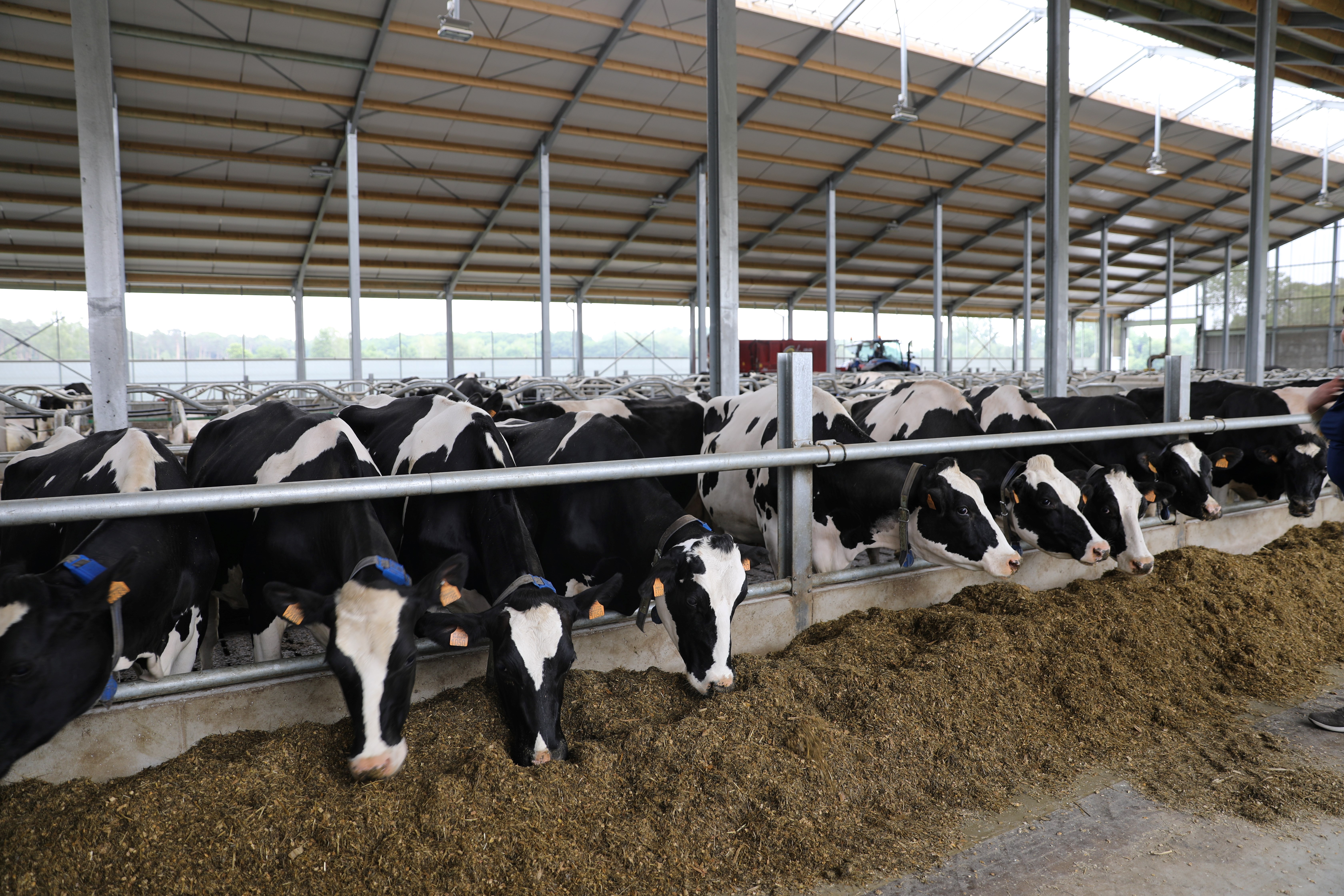 12.05.2025_Nieuwsbrief AN_Pensbestendige vetten