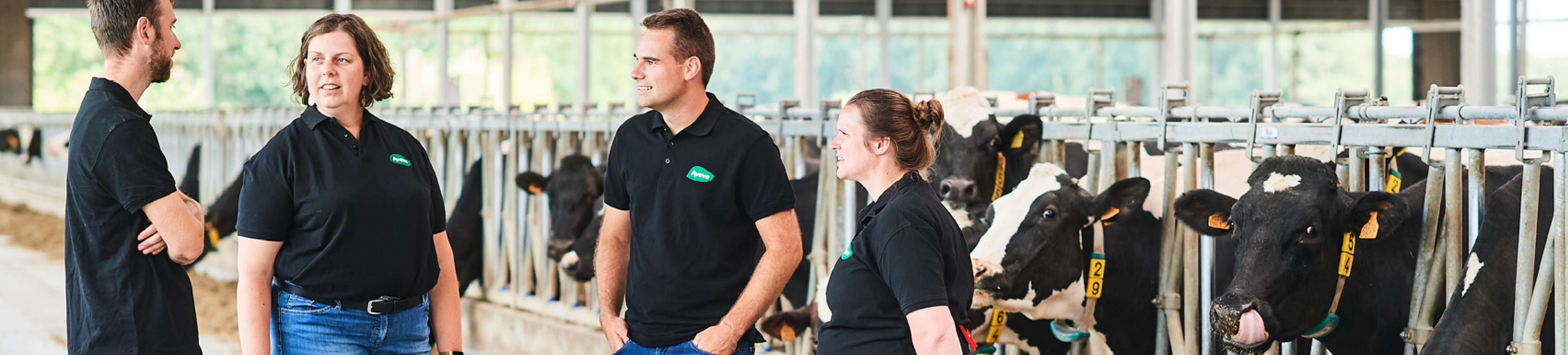 Mineralen & specialisteiten 968x455px