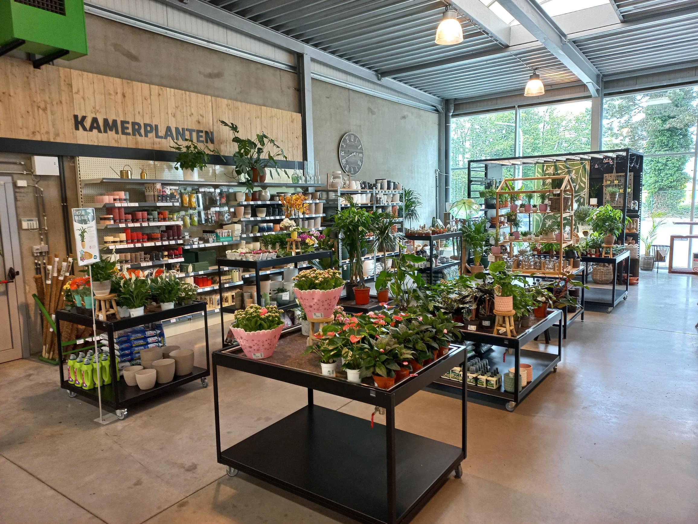 Aveve_winkel_Burcht_interior