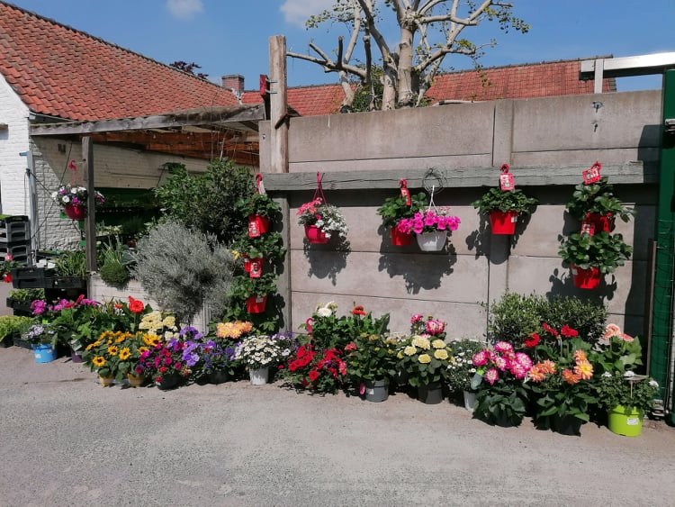 Aveve_winkel_Kluisbergen_outdoor2