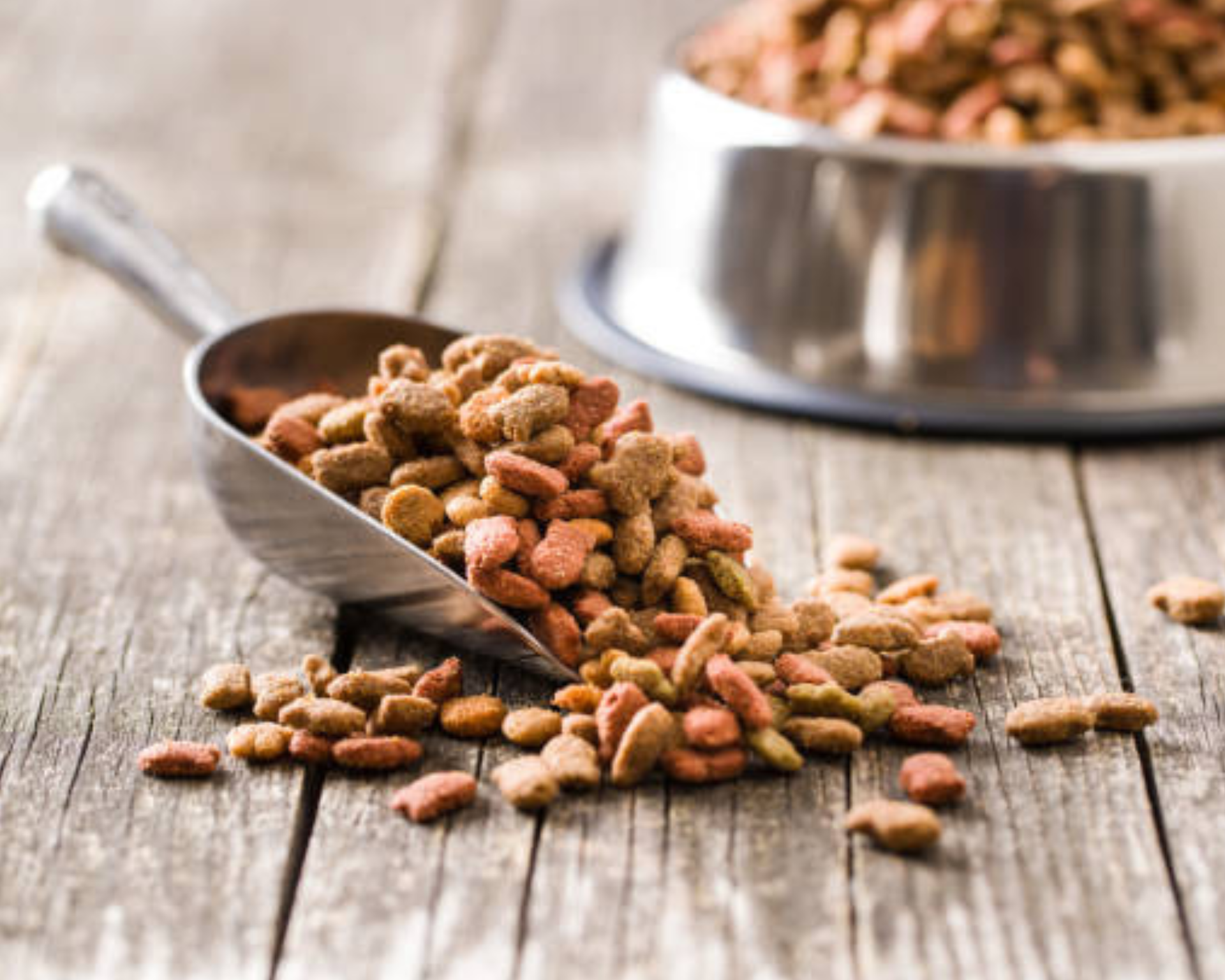 Nuverta Pea Starch for Pet Nutrition I&T2