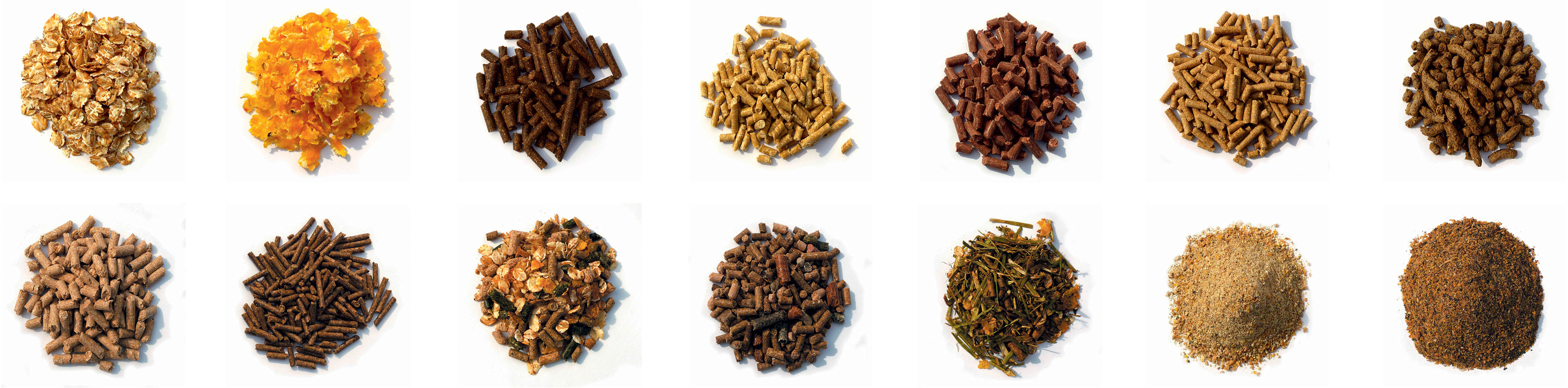 Advice listing image