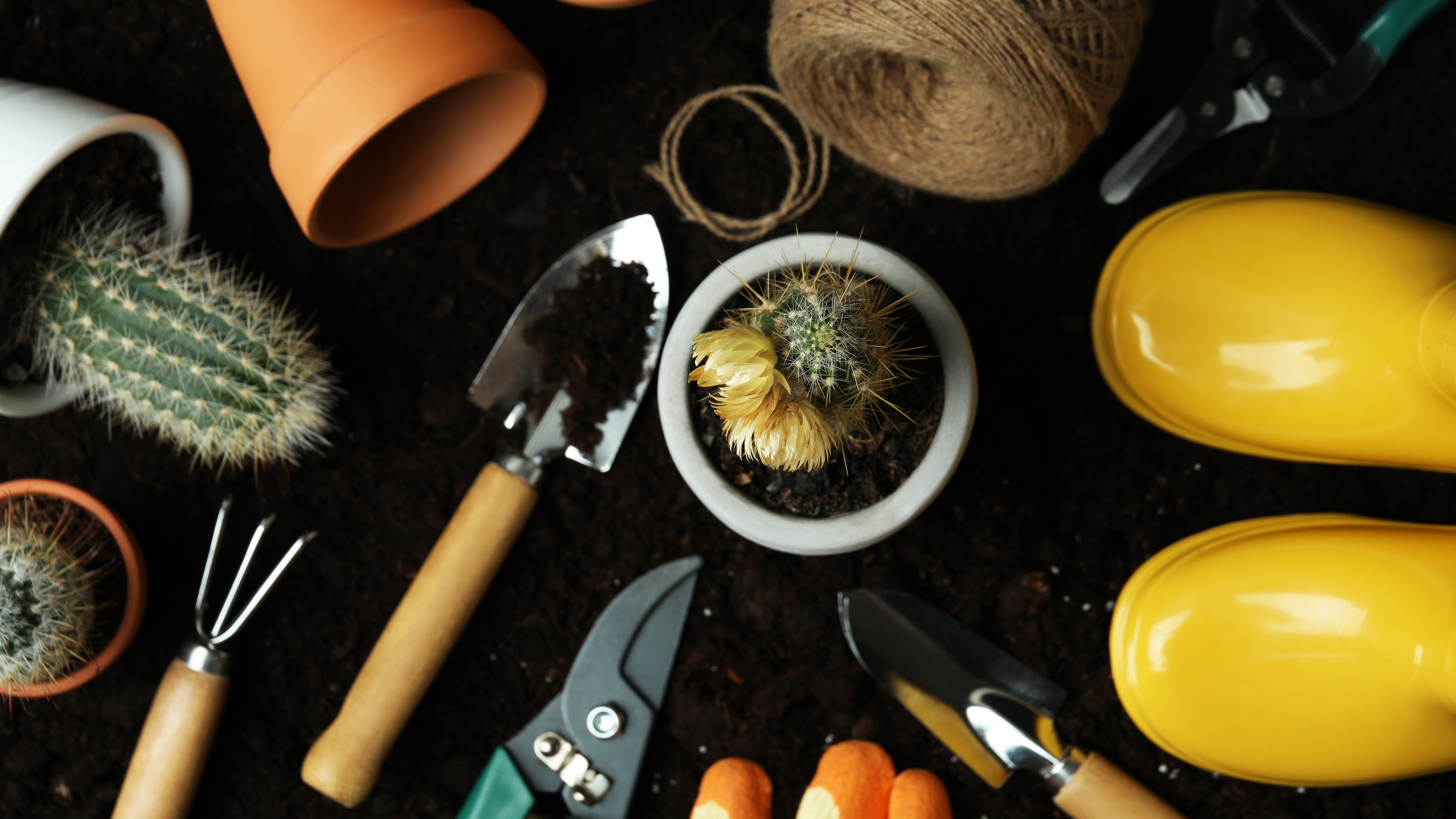 Alles voor je tuin aveve tuingereedschap