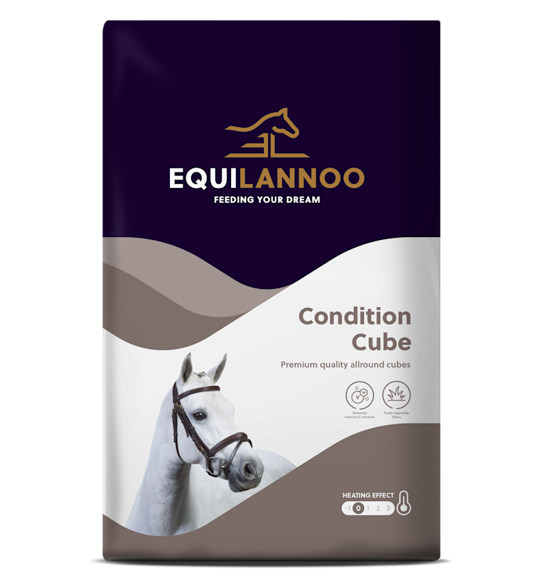 Condition Cube packshot