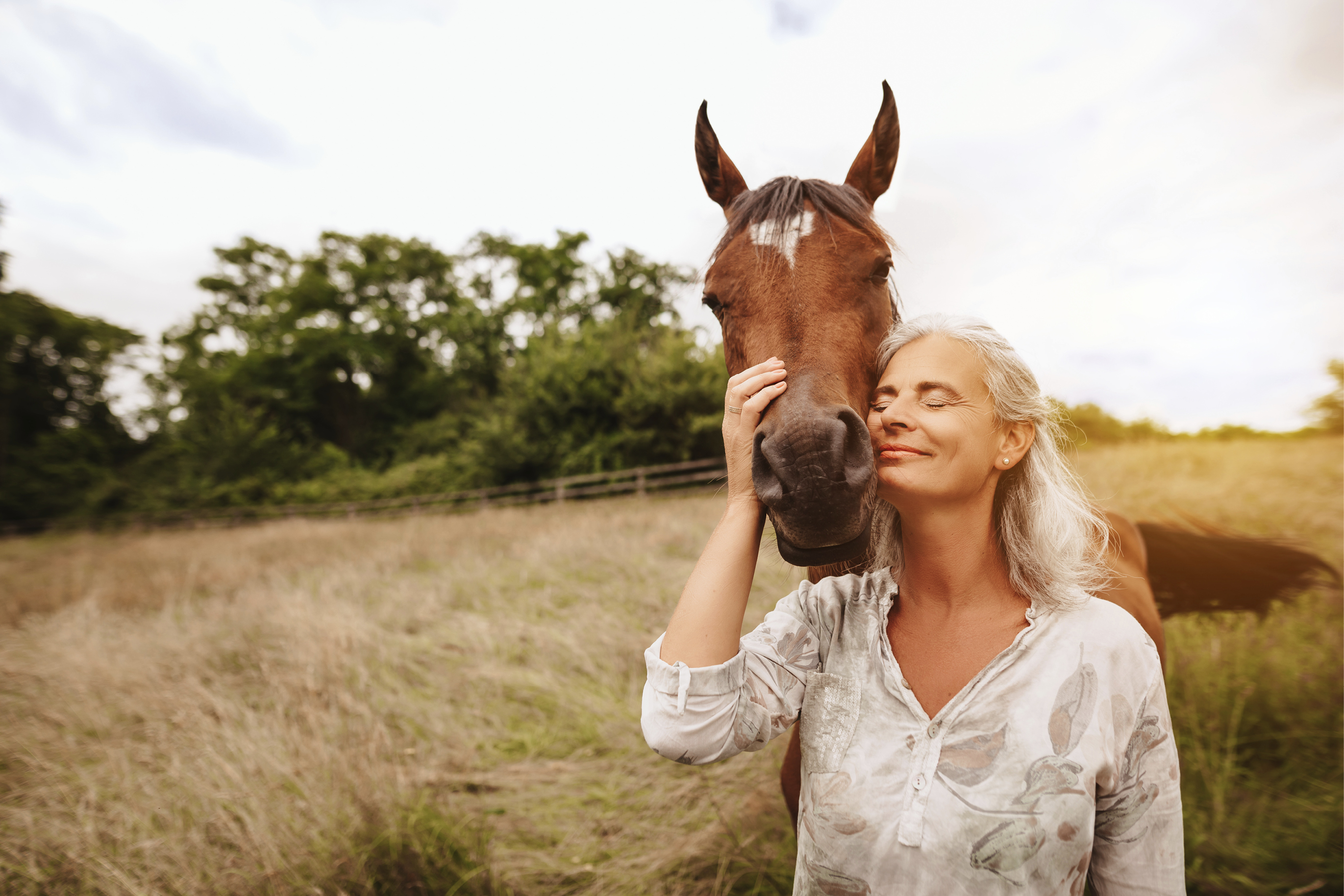 Paarden en vervelende insecten - Aveve