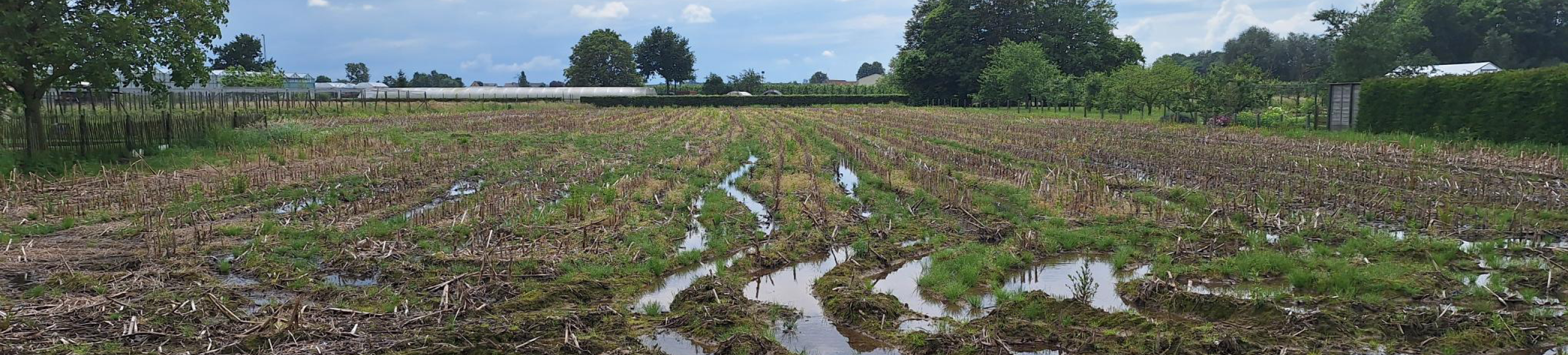 Slecht ruwvoeder 1920x435px