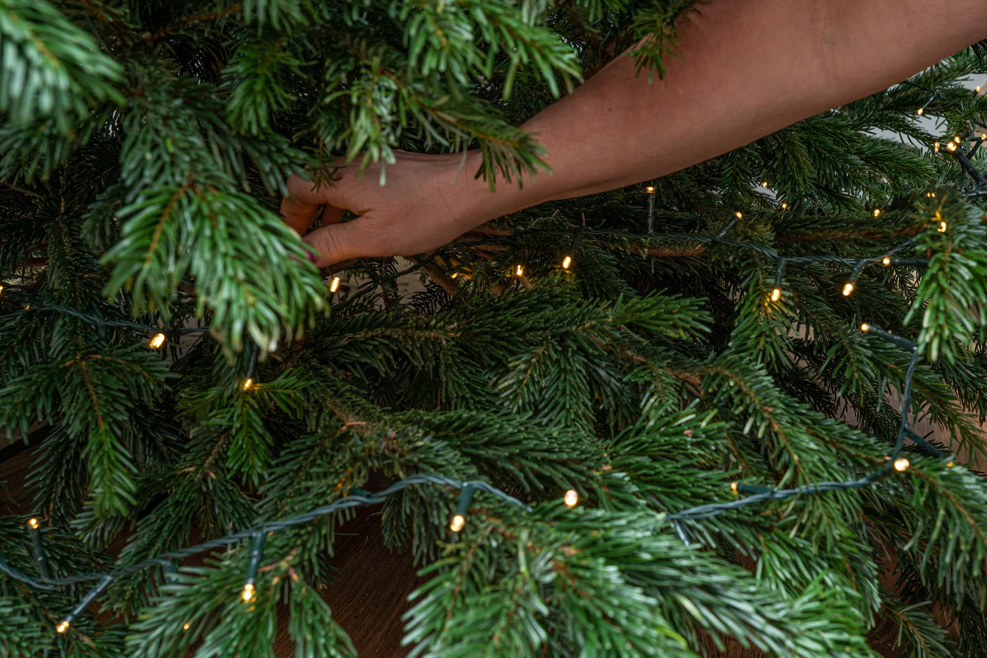 Éclairage de l'arbre de Noël - Aveve