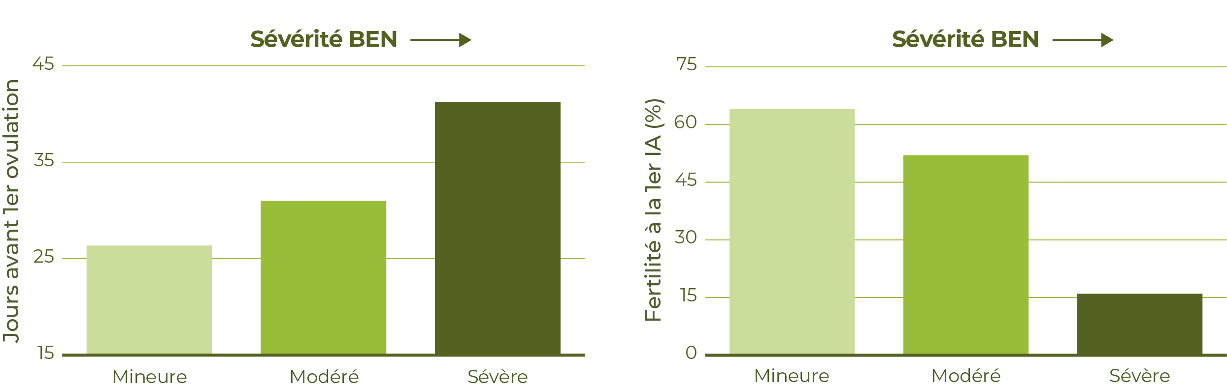 graphique insémination vache laitière