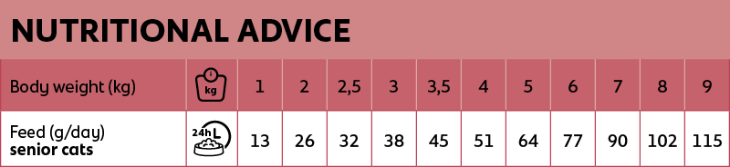 Voedingsadvies new feline senior