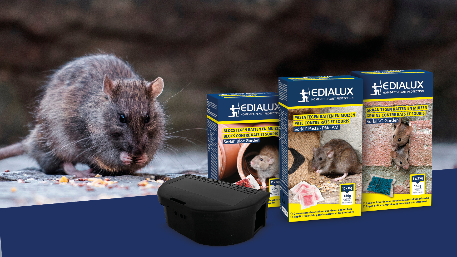 Muizen en ratten | Om Muizen en ratten te bestrijden kom je naar Aveve