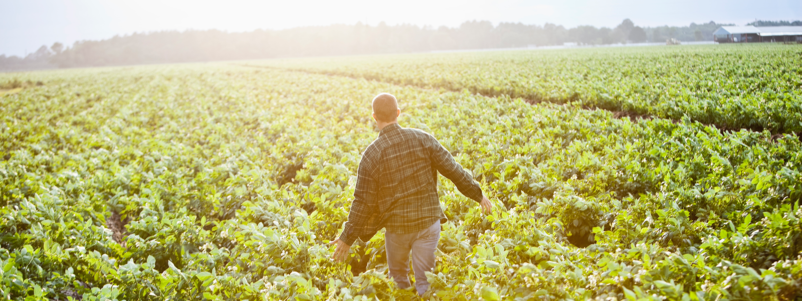 Hero_contact homepage