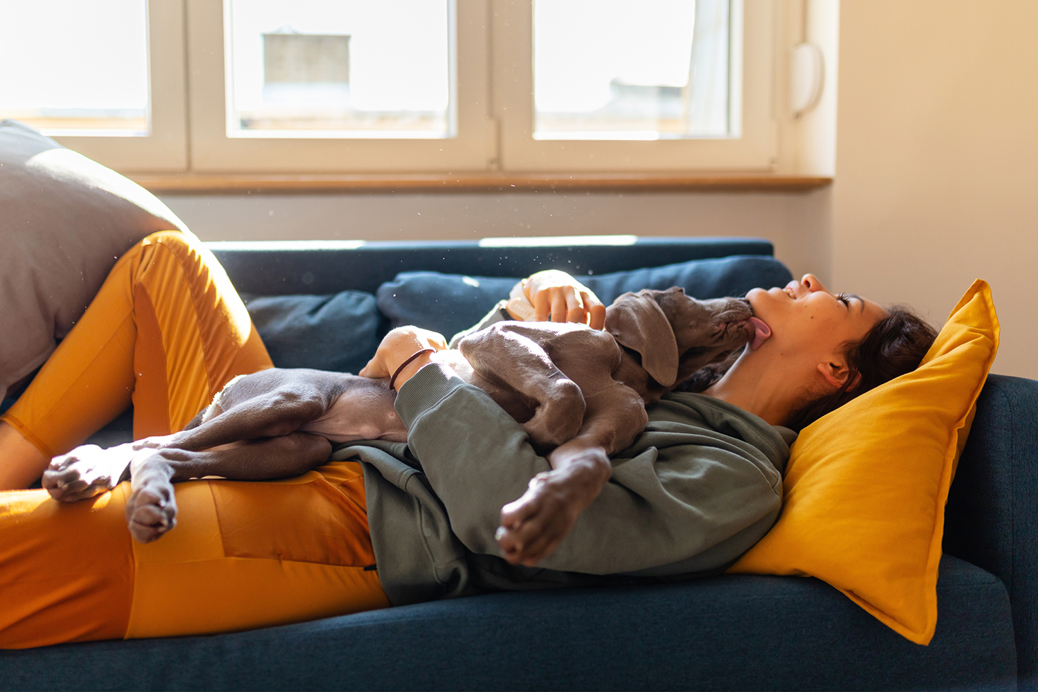 Maître qui gâte son chien - Aveve