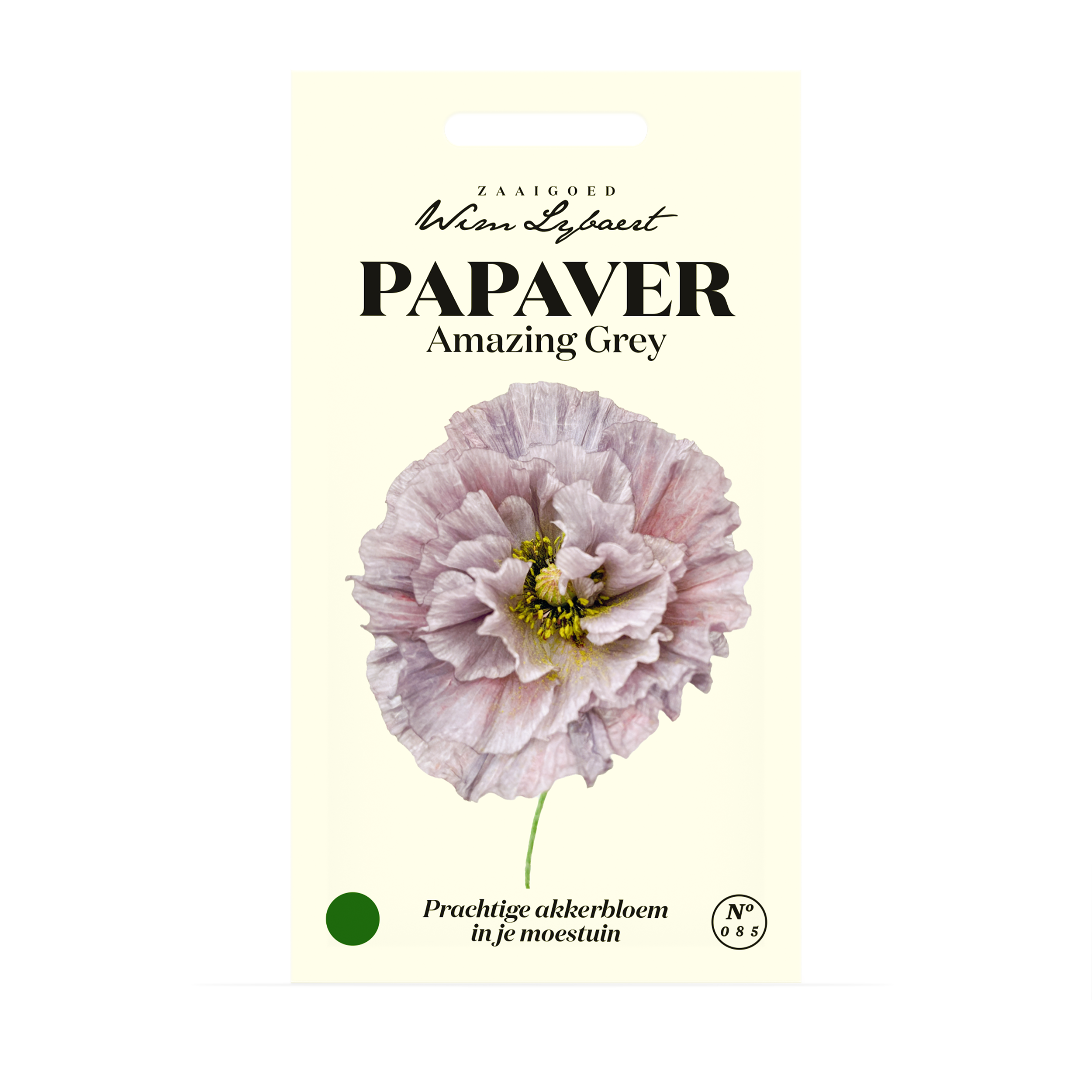 Papaver Amazing Grey