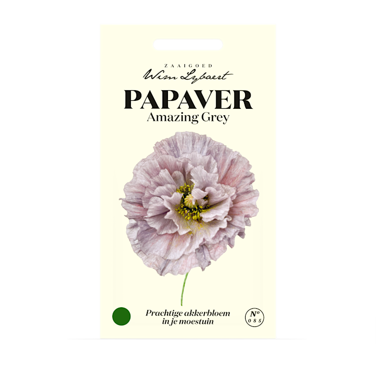 Papaver Amazing Grey
