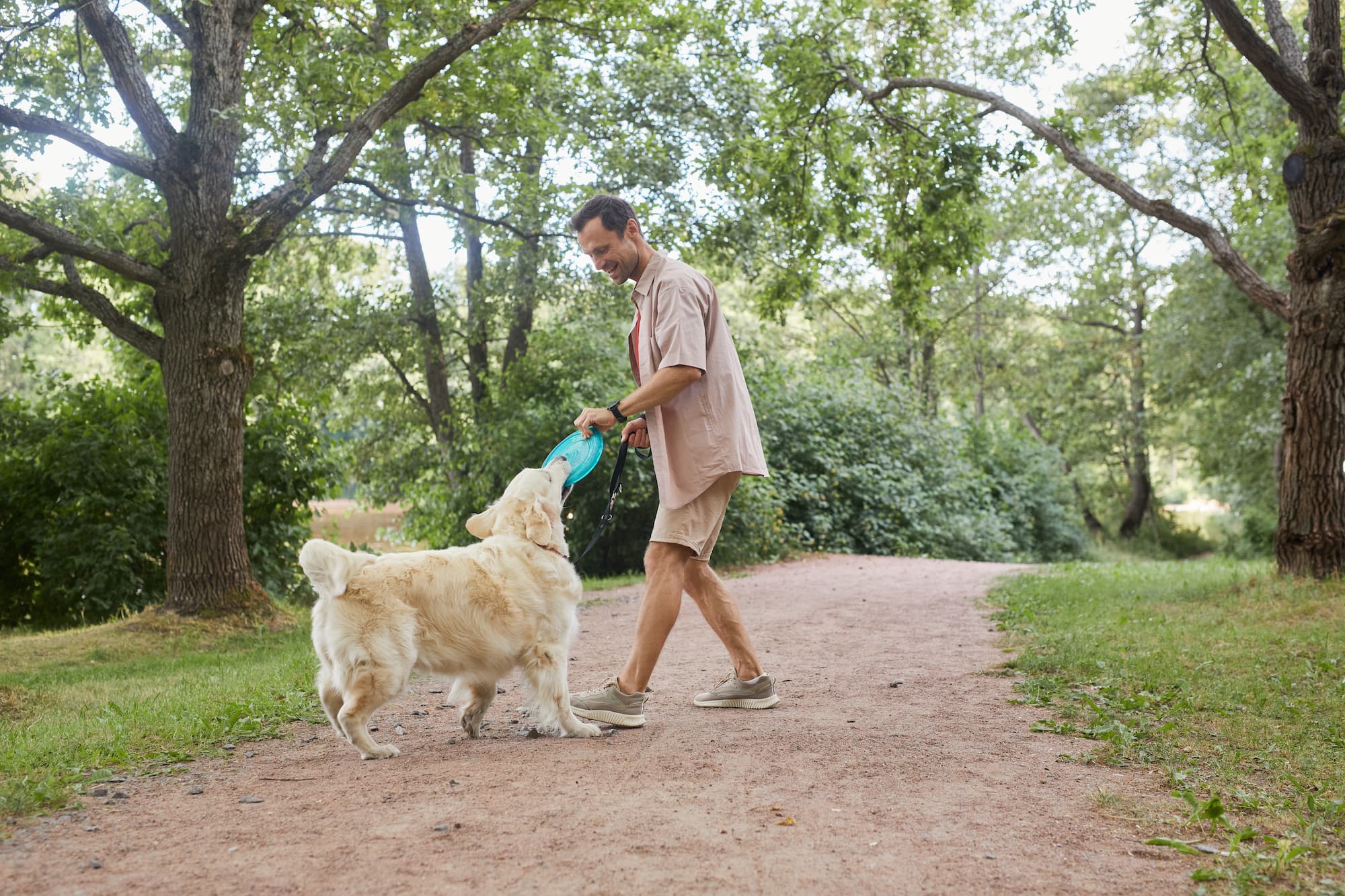 Chien heureux jouant avec son maître - Aveve