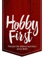 HobbyFirst logo
