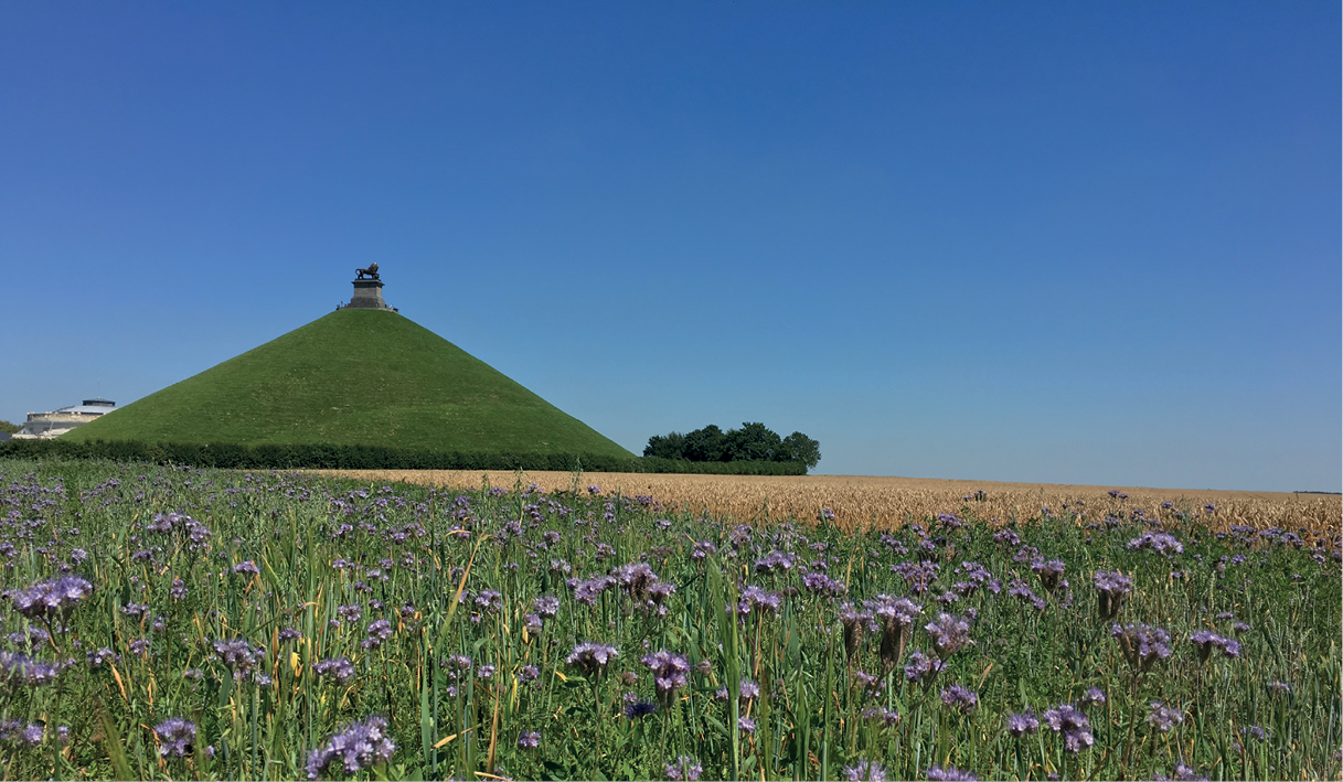 Benieuwd naar de mogelijkheden van onze contractteelten?